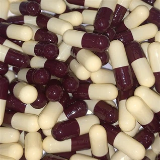 Càpsules buides de gelatina dura